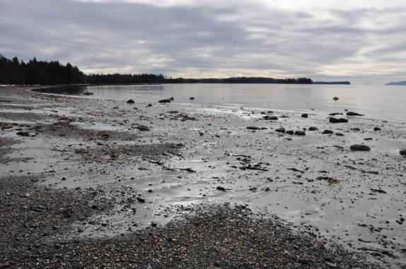 A maré começa a subir em Metlakatla, na área de Prince Rupert, na British Columbia, oeste do Canadá